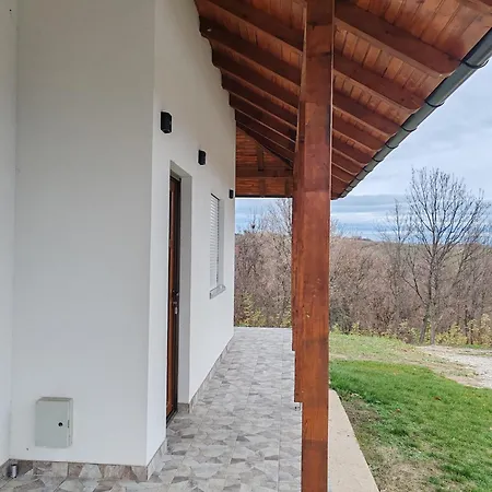 Vinogradi Zmajevacki Младеновац