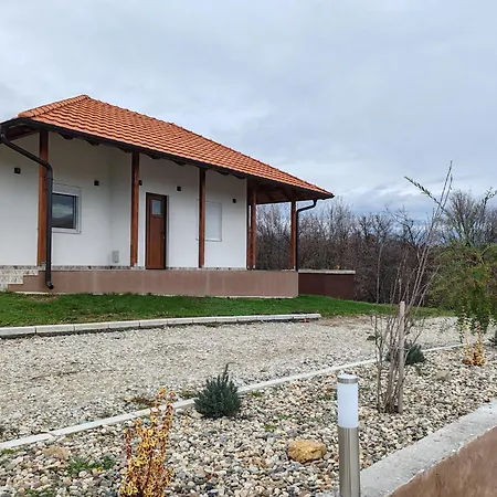 Vinogradi Zmajevacki *