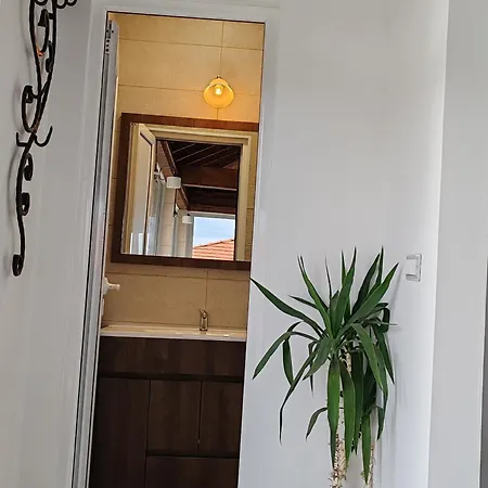 Vinogradi Zmajevacki * Младеновац