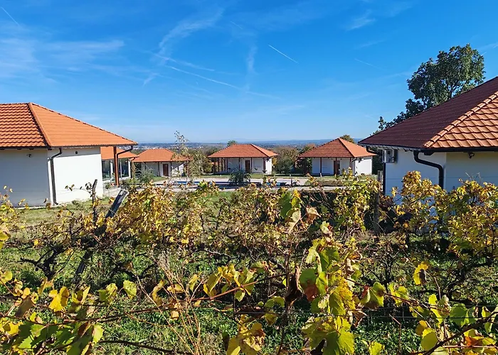 Vinogradi Zmajevacki 姆拉代诺瓦茨