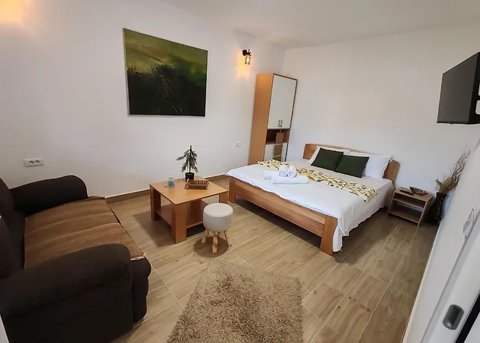 Vinogradi Zmajevacki 度假居 *