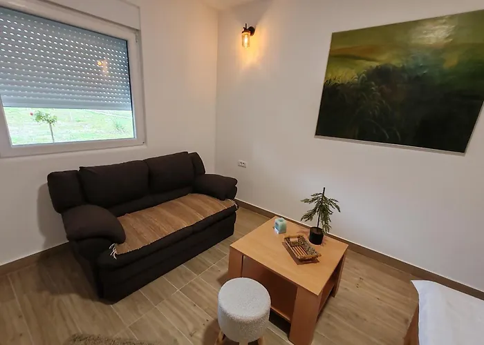 度假居 Vinogradi Zmajevacki 姆拉代诺瓦茨