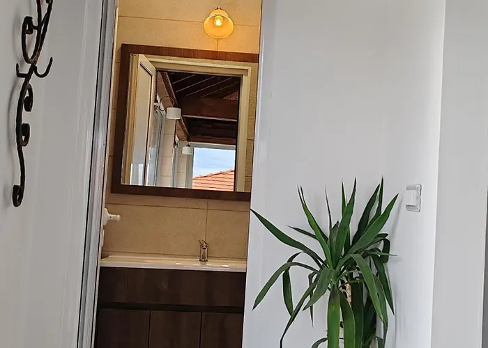 Vinogradi Zmajevacki * 姆拉代诺瓦茨